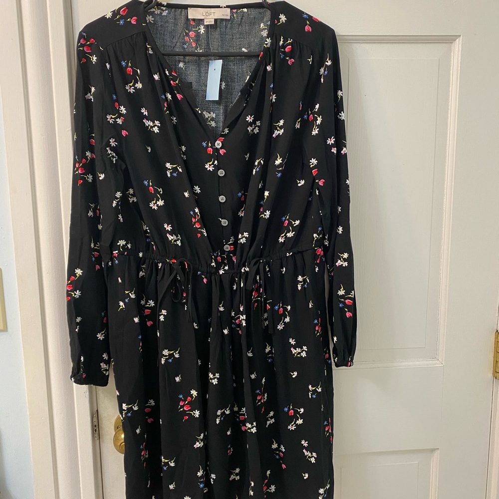 NWT Medium Petite Cute Dress!